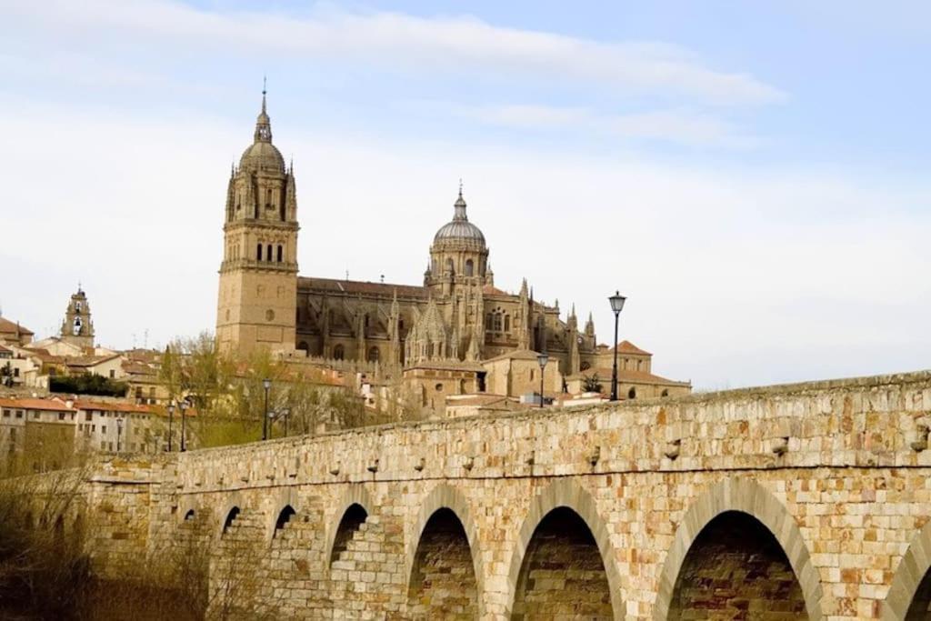 Domus Salamanca. Melchor Cano. Centro. 4